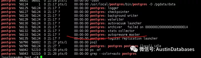 10-23-3.webp.jpg