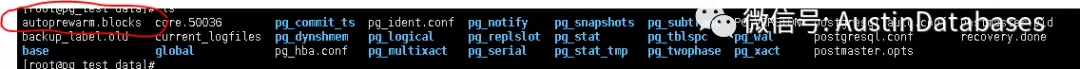 10-23-4.webp.jpg