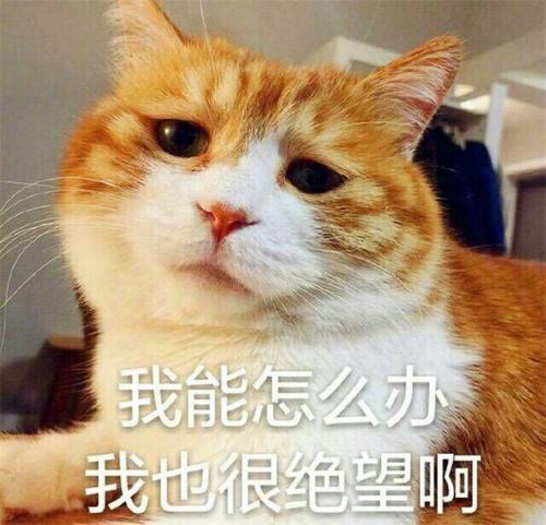u=4114351785,1395941740&fm=26&gp=0.jpg
