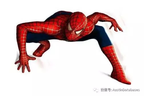 图15.webp.jpg